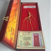 40cm黄木盒野山参