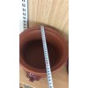 紫砂慢炖多功能电锅 煲汤养生电炖锅 养生煲